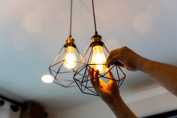 Best Electric Panel Repair  in Northlakes, NC